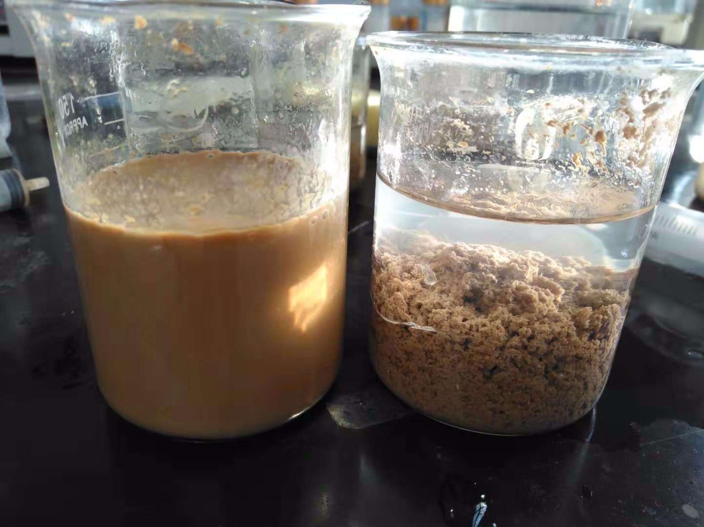 <a href='http://m.s9q5wd.cn/jsyj/992.html' target='_blank'><u>·ÇÀë×Ó¾Û±ûÏ©õ£°·Éú²ú³§¼Ò</u></a>