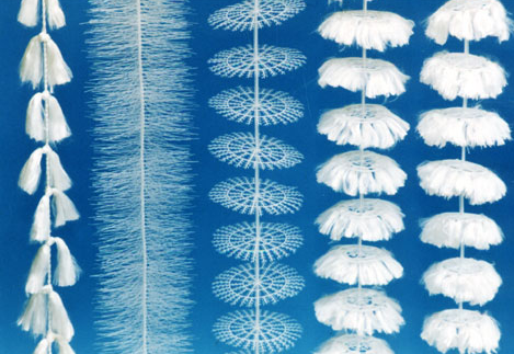 ����<a href='http://m.s9q5wd.cn/jstl/' target='_blank'><u>������������</u></a>