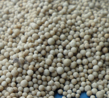 ϡ����ɰ<a href='http://m.s9q5wd.cn/jsll/' target='_blank'><u>������������</u></a>