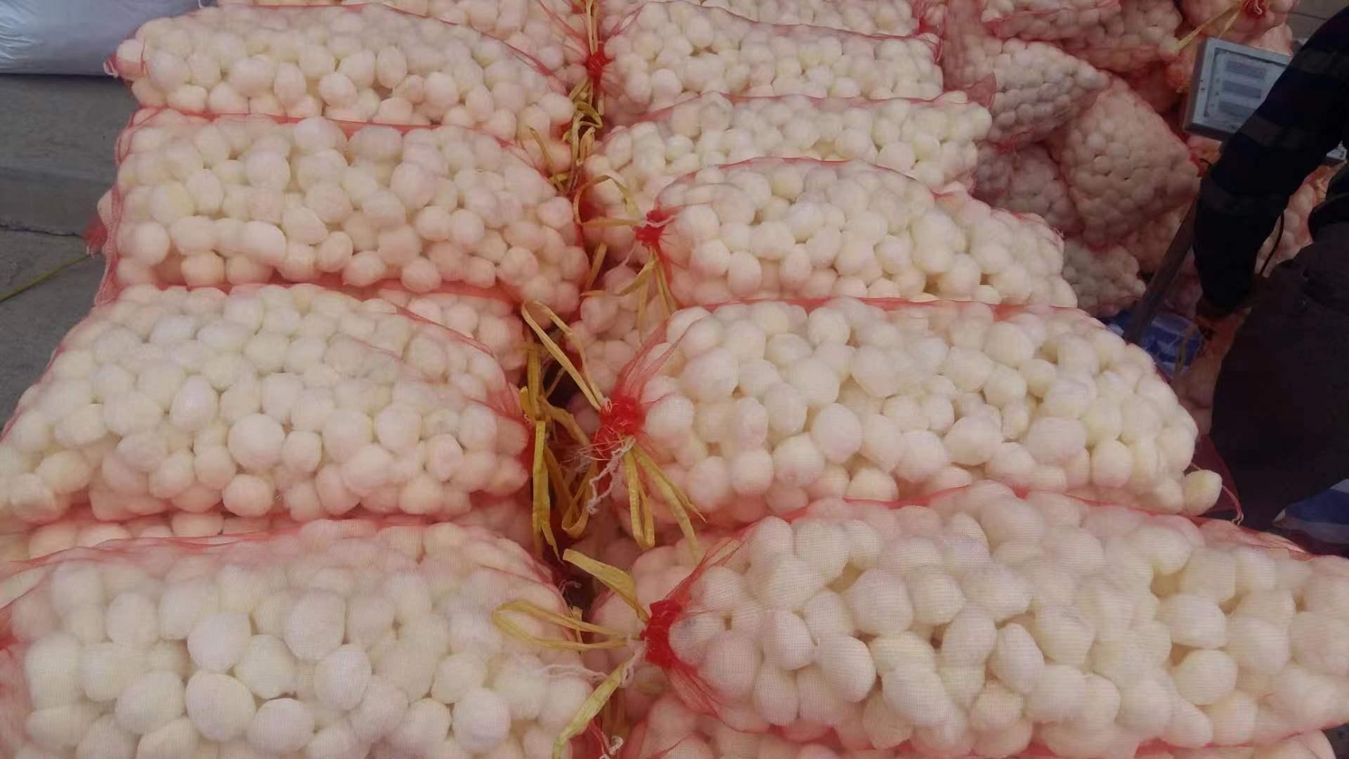 ����ˮ����������ά��������������