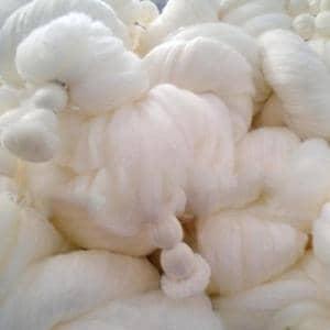 ��ά�����ϡ��������˵���ѡ����